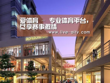 案例展示一(图1)