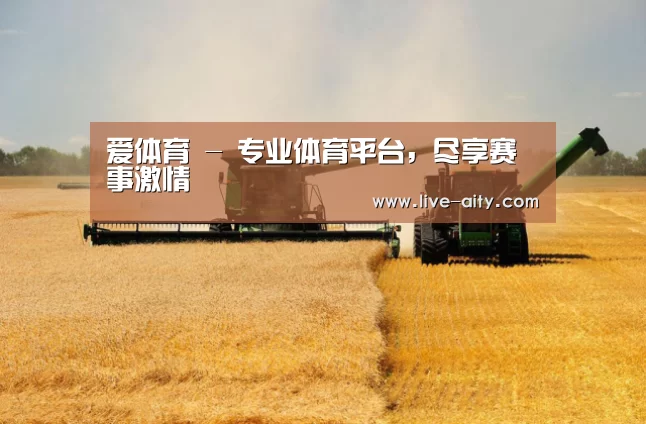 产品名称八(图1)