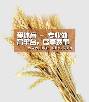爱体育 - 专业体育平台，尽享赛事激情