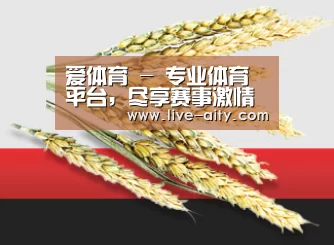 爱体育 - 专业体育平台，尽享赛事激情